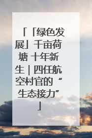 「绿色发展」千亩荷塘 十年新生｜四任航空村官的“生态接力”