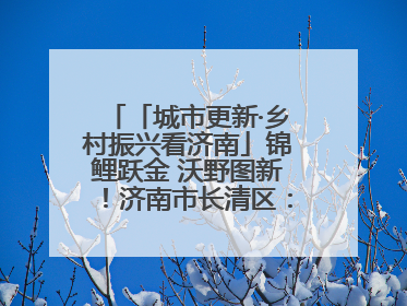 「城市更新·乡村振兴看济南」锦鲤跃金 沃野图新！济南市长清区：小锦鲤大产业 游出农旅新风景