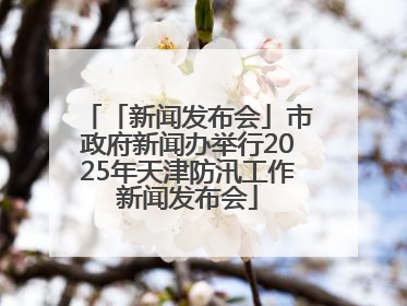 「新闻发布会」市政府新闻办举行2025年天津防汛工作新闻发布会