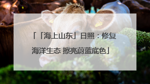 「海上山东」日照：修复海洋生态 擦亮蔚蓝底色
