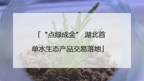“点绿成金” 湖北首单水生态产品交易落地