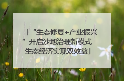 “生态修复+产业振兴”开启沙地治理新模式 生态经济实现双效益