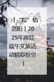 “粽”情洛阳丨2025年嵩县端午文旅活动精彩纷呈