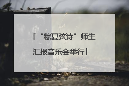 “粽夏弦诗”师生汇报音乐会举行