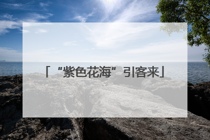 “紫色花海”引客来