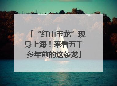 “红山玉龙”现身上海！来看五千多年前的这条龙