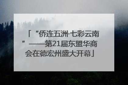 “侨连五洲·七彩云南”——第21届东盟华商会在德宏州盛大开幕