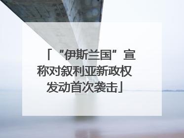 “伊斯兰国”宣称对叙利亚新政权发动首次袭击