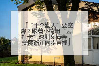 “十个勤天”要空降？跟着小楠姐“云打卡”深圳文博会，美丽浙江同步直播