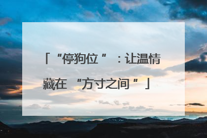 “停狗位 ”：让温情藏在 “方寸之间 ”
