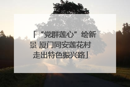 “党群莲心”绘新景 厦门同安莲花村走出特色振兴路