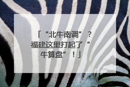 “北牛南调”？福建这里打起了“牛算盘”！