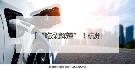 “吃梨解辣”！杭州鸬鸟寻蜜季火热来袭，把派对开在梨园里