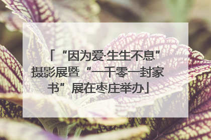 “因为爱·生生不息”摄影展暨“一千零一封家书”展在枣庄举办