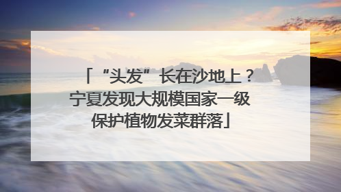 “头发”长在沙地上？宁夏发现大规模国家一级保护植物发菜群落