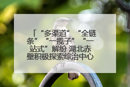 “多渠道”“全链条”“一揽子”“一站式”解纷 湖北赤壁积极探索综治中心规范化建设新路子