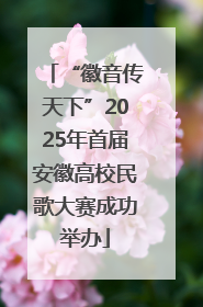 “徽音传天下”2025年首届安徽高校民歌大赛成功举办