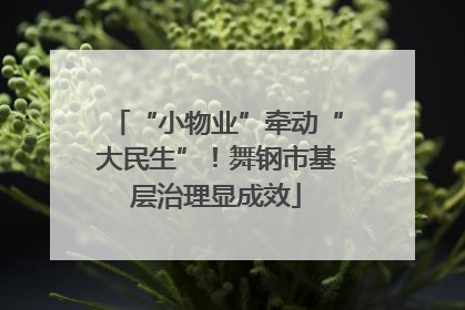 “小物业”牵动“大民生”！舞钢市基层治理显成效