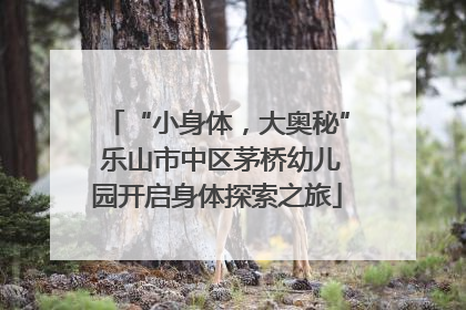 “小身体，大奥秘” 乐山市中区茅桥幼儿园开启身体探索之旅