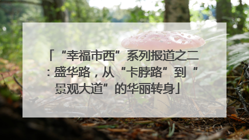 “幸福市西”系列报道之二：盛华路，从“卡脖路”到“景观大道”的华丽转身