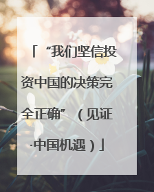 “我们坚信投资中国的决策完全正确”（见证·中国机遇）