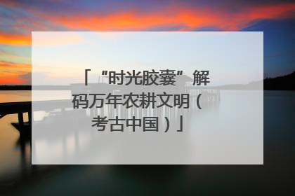 “时光胶囊”解码万年农耕文明（考古中国）