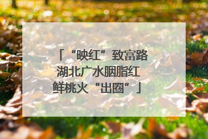 “映红”致富路 湖北广水胭脂红鲜桃火“出圈”