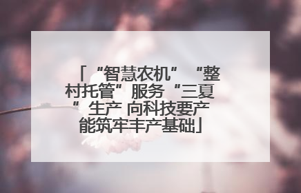“智慧农机”“整村托管”服务“三夏”生产 向科技要产能筑牢丰产基础