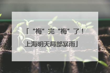 “梅”完“梅”了！上海明天局部暴雨