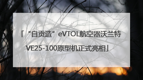 “自贡造”eVTOL航空器沃兰特VE25-100原型机正式亮相