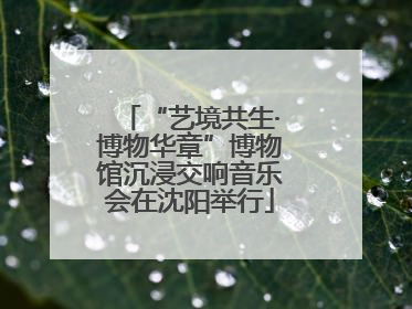 “艺境共生·博物华章”博物馆沉浸交响音乐会在沈阳举行