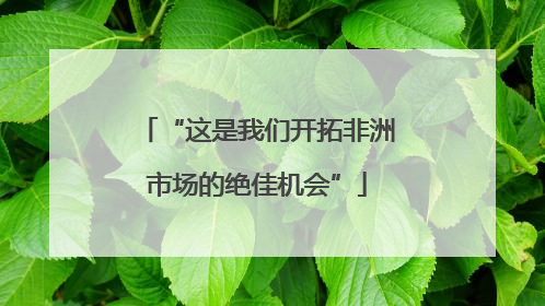 “这是我们开拓非洲市场的绝佳机会”