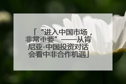 “进入中国市场，非常重要”——从肯尼亚-中国投资对话会看中非合作机遇