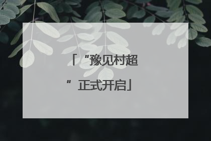 “豫见村超”正式开启