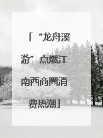 “龙舟溪游”点燃江南西商圈消费热潮