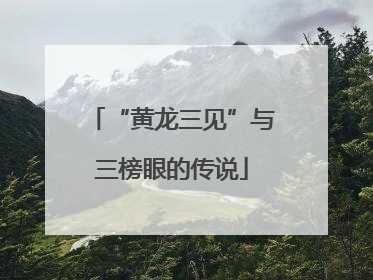 “黄龙三见”与三榜眼的传说