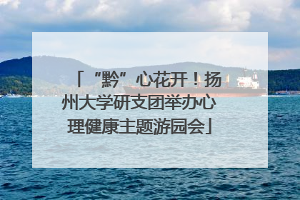 “黔”心花开！扬州大学研支团举办心理健康主题游园会