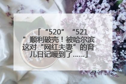 “520”“521”顺利破壳！被哈尔滨这对“网红夫妻”的育儿日记暖到了……