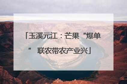 玉溪元江：芒果“爆单” 联农带农产业兴