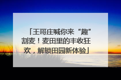 王哥庄喊你来“趣”割麦！麦田里的丰收狂欢，解锁田园新体验