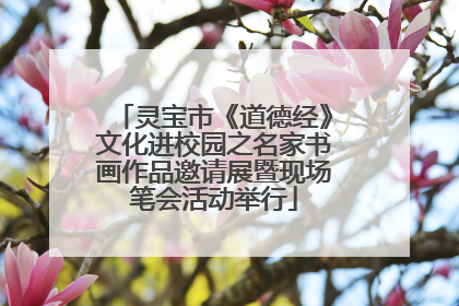 灵宝市《道德经》文化进校园之名家书画作品邀请展暨现场笔会活动举行