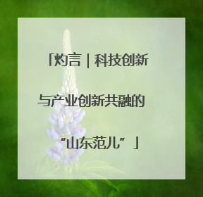 灼言｜科技创新与产业创新共融的“山东范儿”