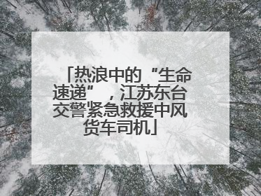 热浪中的“生命速递”，江苏东台交警紧急救援中风货车司机