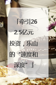 牵引262.5亿元投资，乐山的“速度和深度”