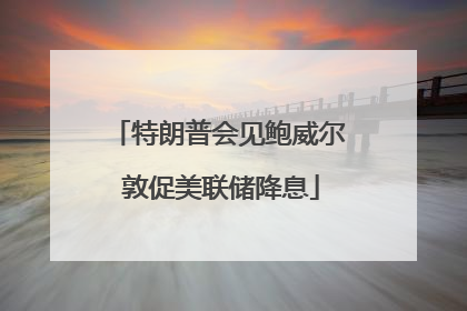 特朗普会见鲍威尔 敦促美联储降息
