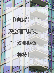 特朗普：“没空理马斯克” 欧洲抛橄榄枝