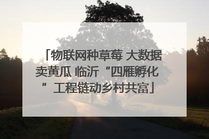 物联网种草莓 大数据卖黄瓜 临沂“四雁孵化”工程链动乡村共富