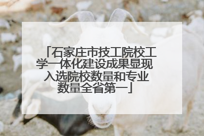 石家庄市技工院校工学一体化建设成果显现 入选院校数量和专业数量全省第一
