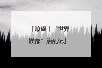 瞭望丨“世界镁都”治乱记