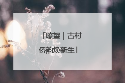 瞭望｜古村侨韵焕新生